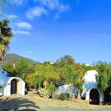 Hacienda Eco-Domes Villa Valle de Guadalupe Dış mekan fotoğraf