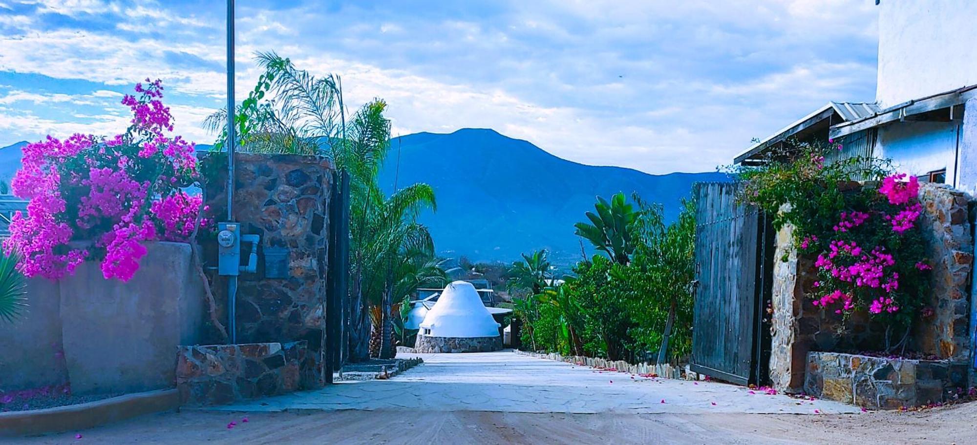 Hacienda Eco-Domes Villa Valle de Guadalupe Dış mekan fotoğraf