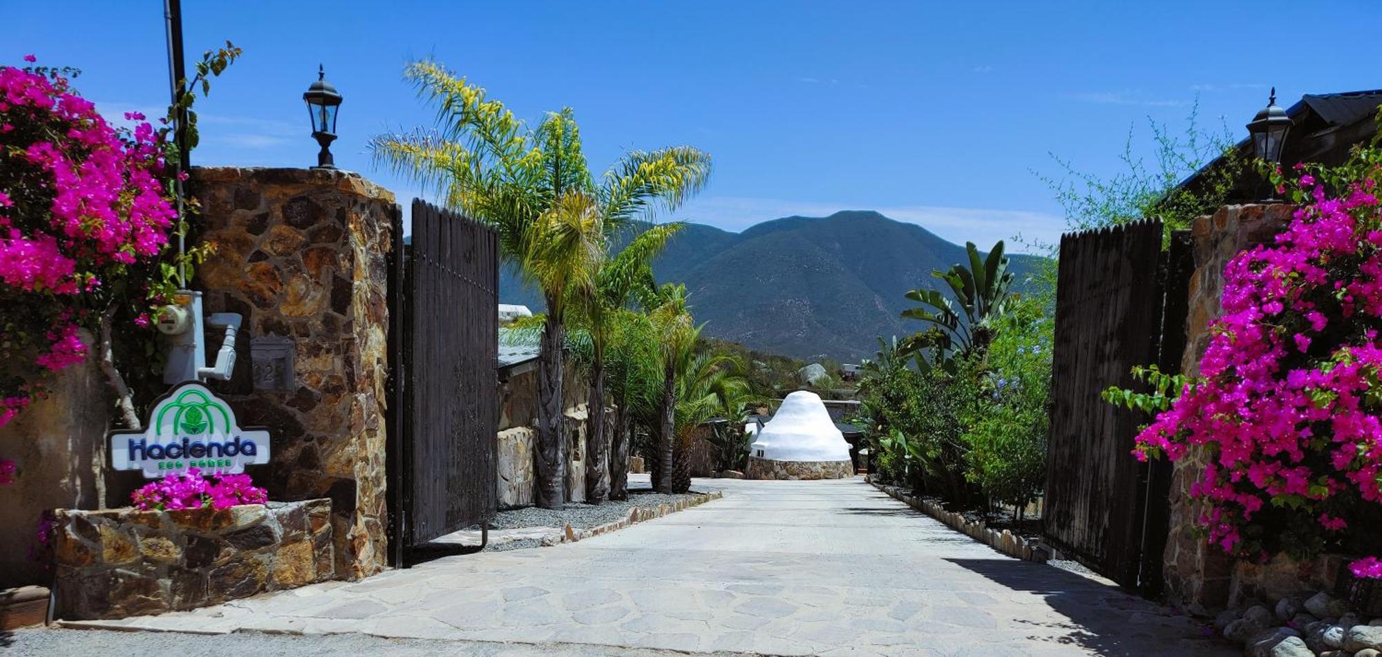 Hacienda Eco-Domes Villa Valle de Guadalupe Dış mekan fotoğraf